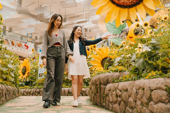 a sunflower sojourn display at changi airport