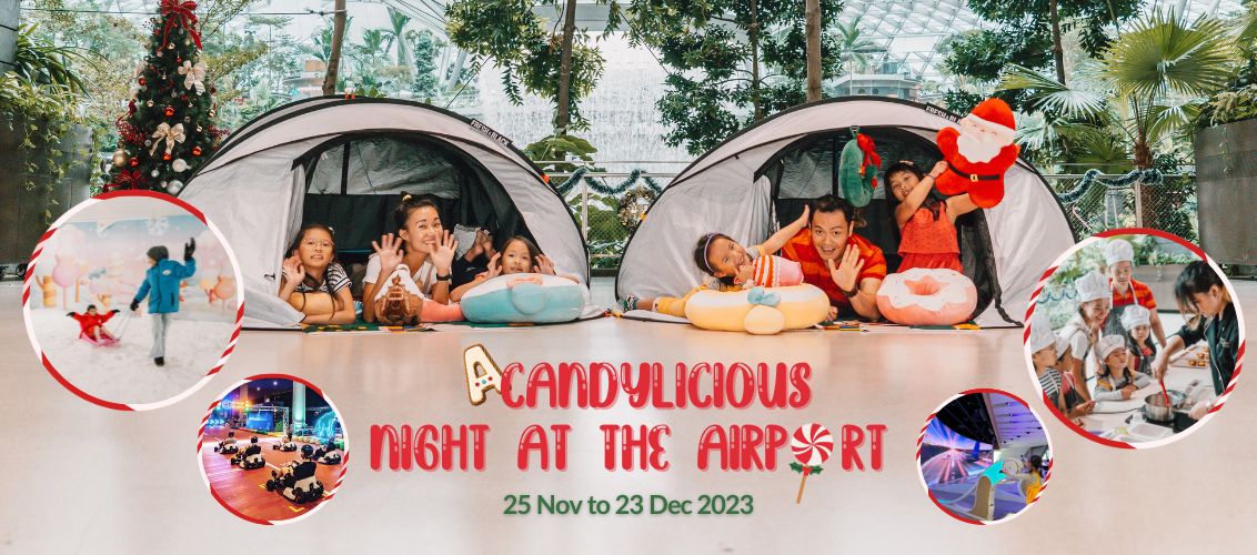 Take Flight At Changi Airport Aviation Experience: Pilot Through